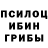 Псилоцибиновые грибы GOLDEN TEACHER Hansolo Berger