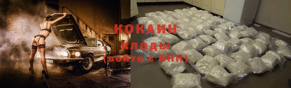 бошки Горняк