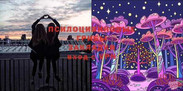 бошки Горняк