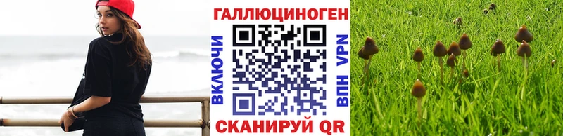 где найти наркотики  Арзамас  omg tor  Галлюциногенные грибы MAGIC MUSHROOMS 
